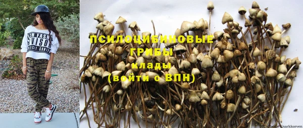 тгк Бугульма