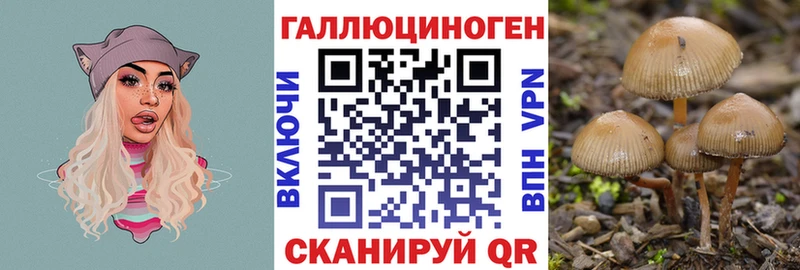 Галлюциногенные грибы мухоморы  закладки  Гуково 